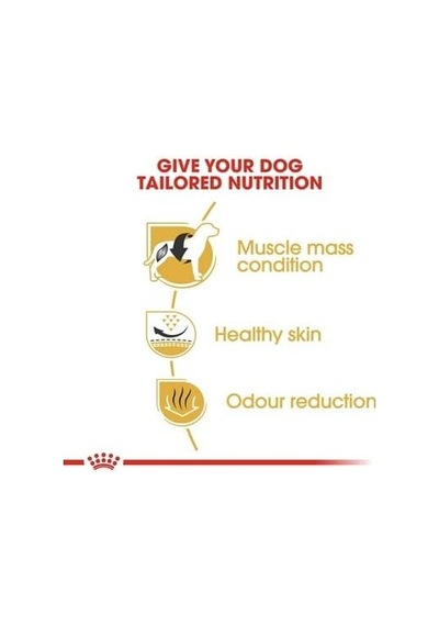 Royal Canin French Bulldog Adult 3 Kg