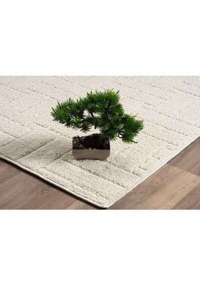Raschel Carpet Kaymaz Taban Moopy Krem Rengi Bukleli Yumuşak Soft Dokuma Yolluk Halı Salon Halısı Lp1001a, 100 X 450 Diğer