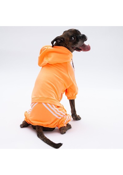 Pawstar Turuncu Tuta Orta ve Büyük Irk Köpek Tulumu Köpek Kıyafeti