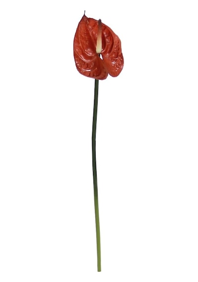 Yapay Antoryum Çiçeği Canlı Dokunuş Kahverengi 40 Cm-9976