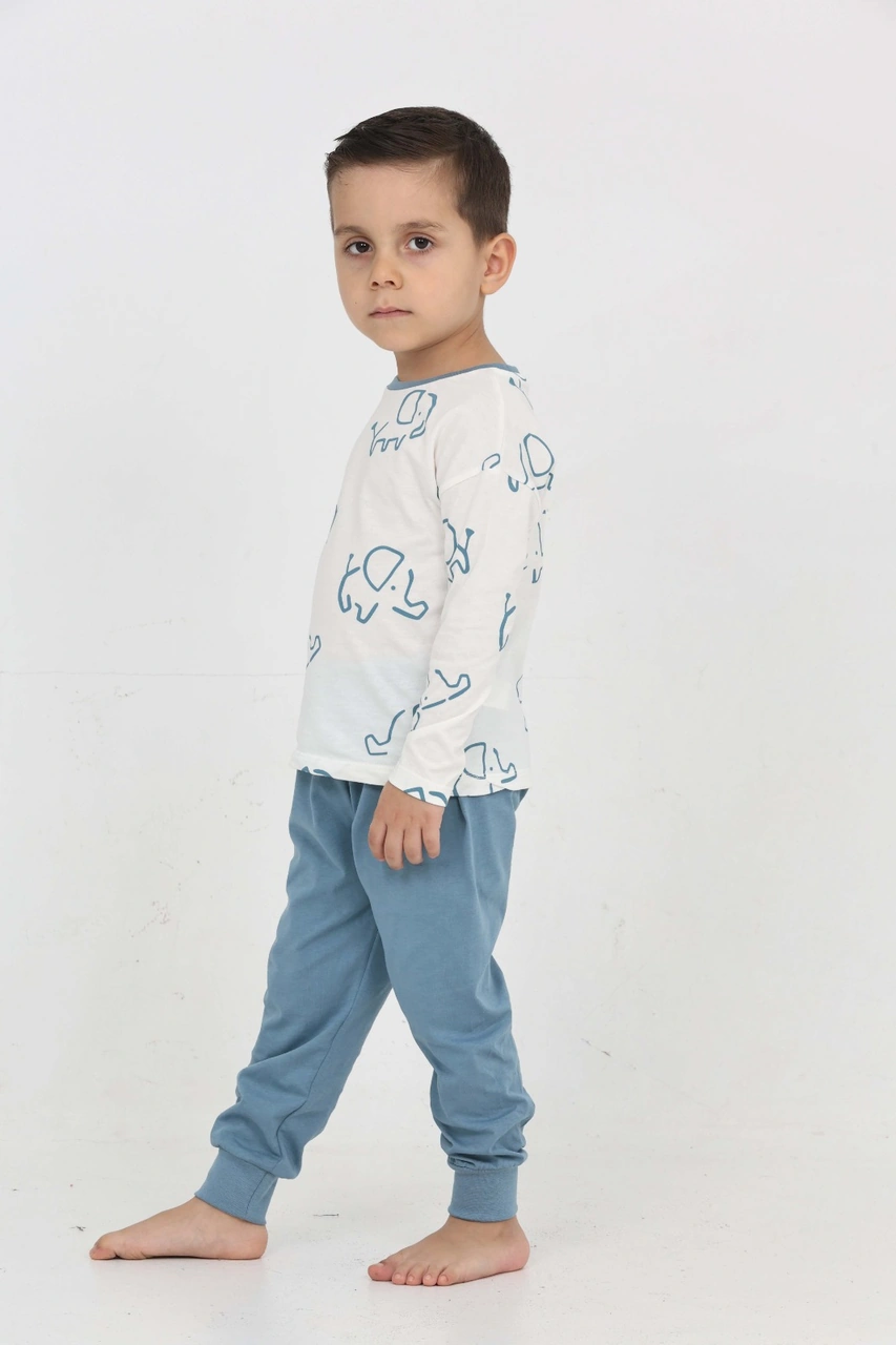 Toontoy Kids Toontoy Erkek Çocuk Fil Pano Baskılı Pijama Takım Mavi