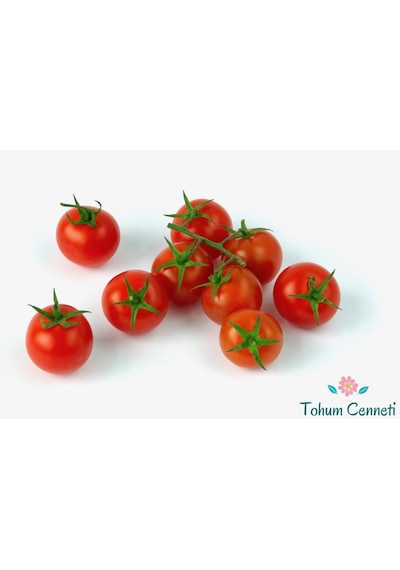 Çeri Pinpon Domates Tohumu 50 Tohum