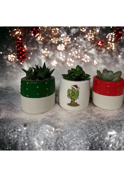 Yılbaşı Hediyesi/ Işıklı Kaktüs Baskılı 3lü Set Saksı