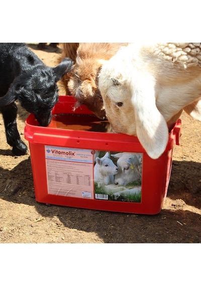 Vitamolix Sheep 22.5 Kg