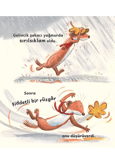 Duygular Seti - 4 Resimli Hikâye Kitabı / 3 Yaş +