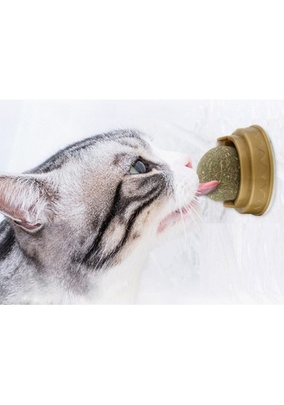 Askımo - Kedi Nanesi Catnip Oyun Topu