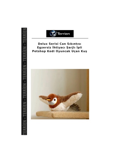Delux Serisi Can Sıkıntısı Egzersiz İhtiyacı Şarjlı İpli Petshop Kedi Oyuncak Uçan Kuş