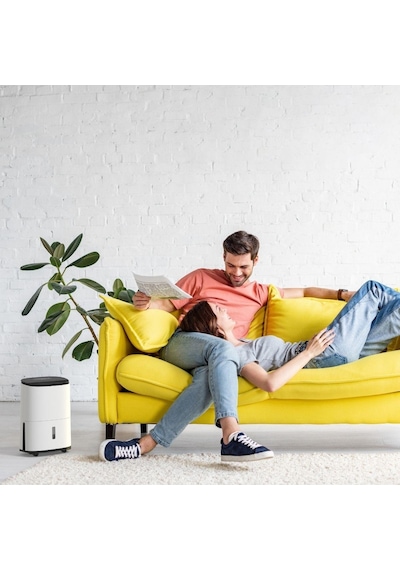 Meacodry Arete One 10l Nem Alma Ve Hava Temizleme Cihazı