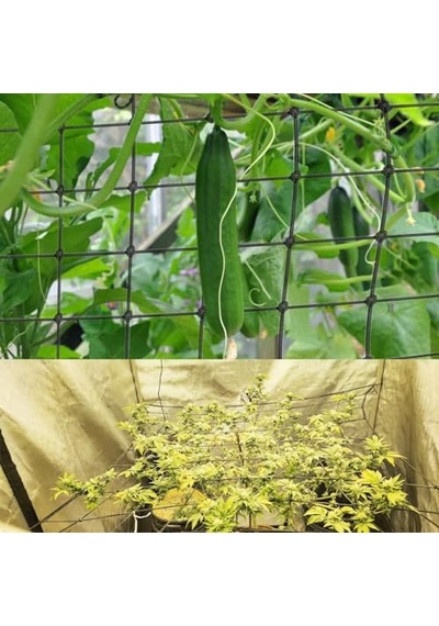 Coffee Life Plus Scrog File, Bitki Yetiştirme Ağı, 150 X 150 Cm Elastik Kafes Ağı, 6 Kancalı, Elastik Ağ Kafesi