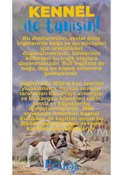 Petjoo 16.Kennel Mavi-Sarı Qr'lı Köpek Künyesi