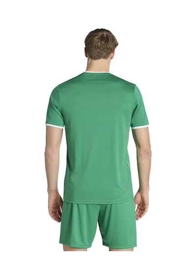 Teagrn/whıte Adidas Erkek Futbol Forma Ent26 Gfx Jsy Kb3970 Yeşil