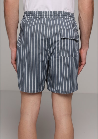 Colin's Colins Regular Fit Çizgili Erkek Mavi Deniz Şortu Cl1081039 Q1.v1 Inv İndigo