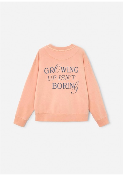 The Boston Kids Erkek Çocuk Baskılı Sweatshirt Somon 6421