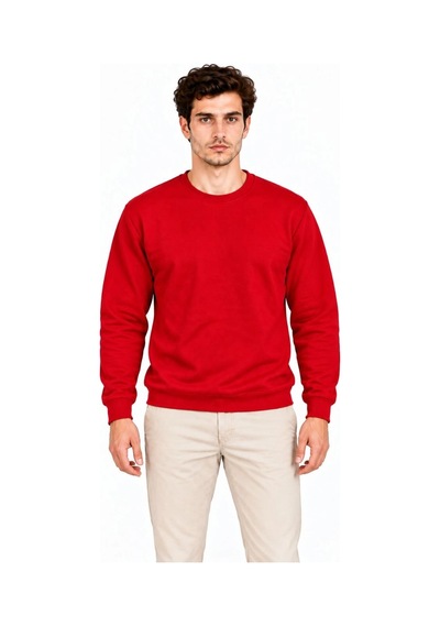 Erkek 2'li Bisiklet Yaka İçi Şardonlu 2 İplik Düz Uzun Kollu Regular Fit Sweatshirt - Mavi & Kırmızı Çok Renkli