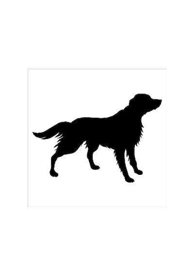 Köpek Folyo Sticker Derstv870 70cm Uzunluk Siyah
