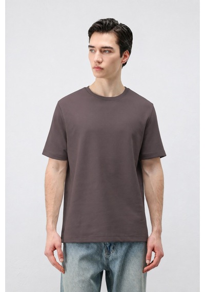 Antioch Regular Fit Basic Erkek T-shirt Koyu Vizon