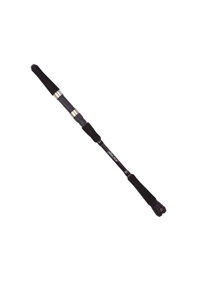 Albastar Novus S Kamış 100-300gr 165cm