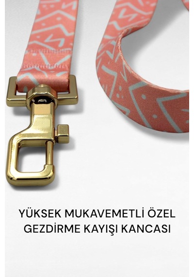 Köpek Tasması-köpek Tasma Seti-boyun Ve Gezdirme Tasması-kişiye Özel Çelik Künyeli Orta Ve Büyük Irk Desen 1-m