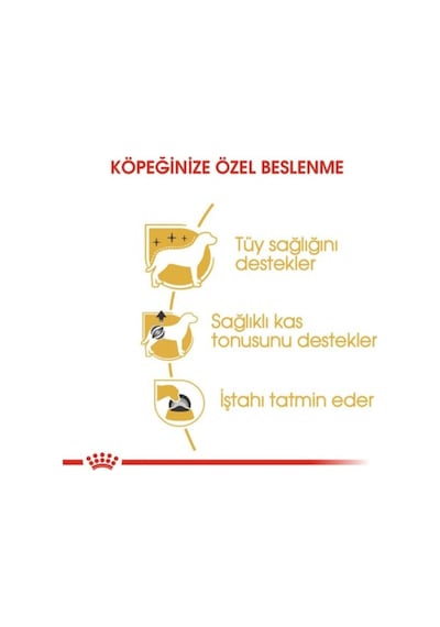Royal Canin Poodle Yetişkin Pouch Yaş Köpek Maması 85 G