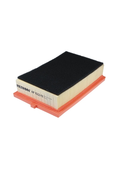 Filtron Hava Filtresi AP022/8