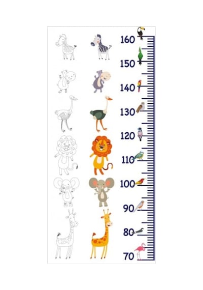 Boy Cetveli Statik Kağıt Tahta