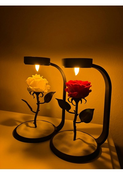 Moonlamp Kırmızı Gül Dekoratif Hediyelik Lamba
