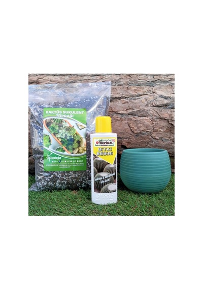 3'lü Set Kaktüs Besini 225 Ml+ 3 Lt Toprağı+ 0 55 Petrol Yeşil Saksısı Sıvı Gübresi Diğer