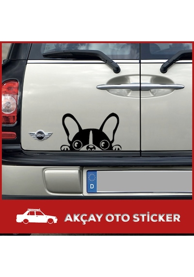 Arkadan Bakan Göz Sticker Bakan Köpek Sticker Oto Sticker