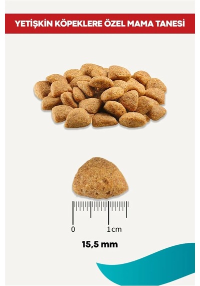 Kuzulu Yetişkin Köpek Maması, 15 Kg 8690944727938