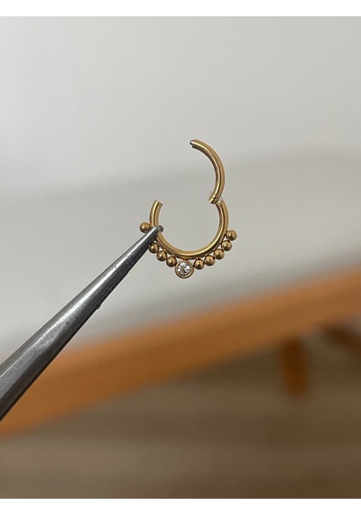 316 L Cerrahi Çelik Zirkon Taş Detaylı Halka Kıkırdak Helix Tragus Piercingi Altın