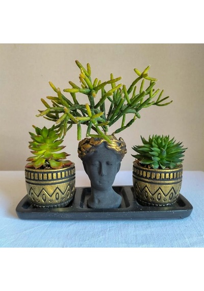 Sedum & Rhipsalis 3'lü Sukulent Seti | Helen Siyah & Gold Seri