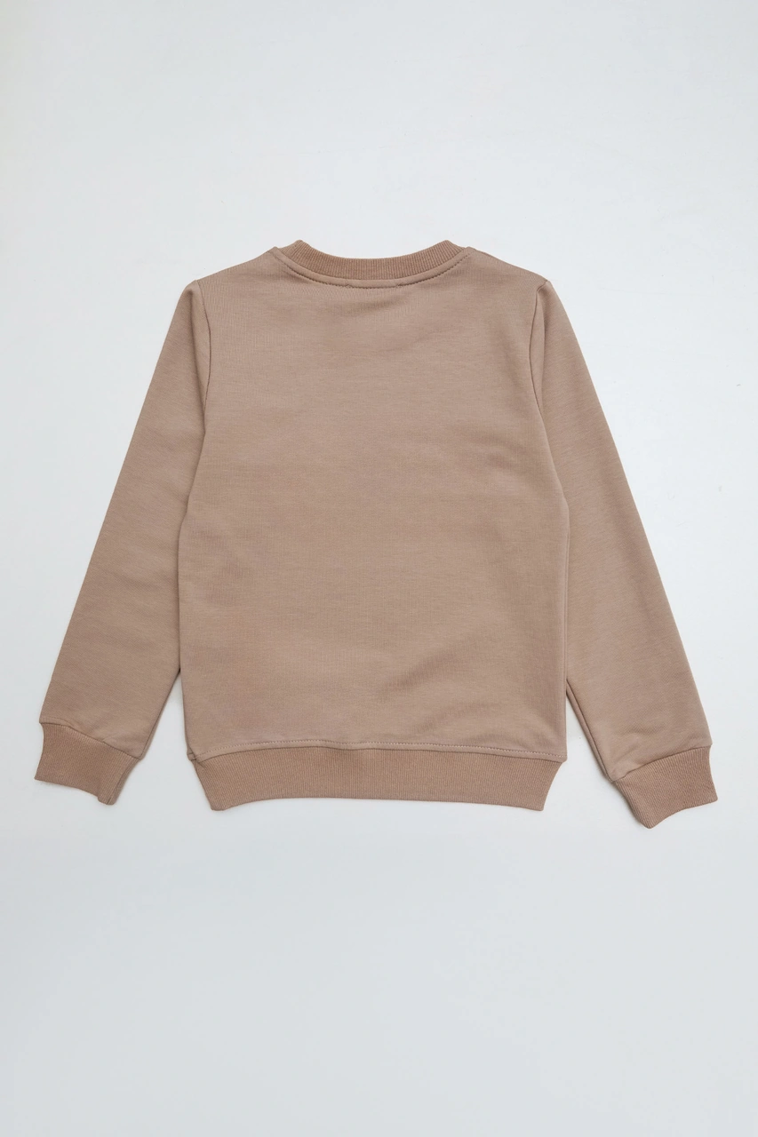 Ayıcık Nakışlı Bisiklet Yaka Kız Çocuk Sweatshirt 25mcck4784132931-vizon Vizon