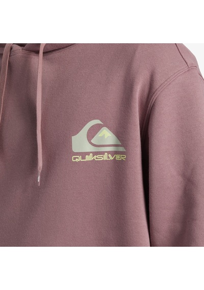 Quiksilver Omni Logo Hoodie Erkek Sweatshirt Mor