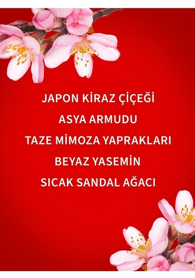 Japanese Cherry Blossom Vücut Spreyi 236 Ml