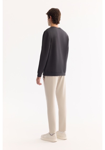 Avva Erkek Antrasit Bisiklet Yaka Pamuklu Bi-stretch Baskılı Regular Fit Sweatshirt A52y1325
