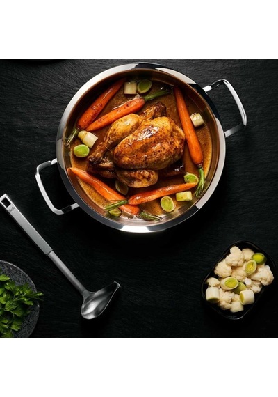 Fissler Profi Collection Cam Kapak Kısa Tencere 24 Cm Renkli