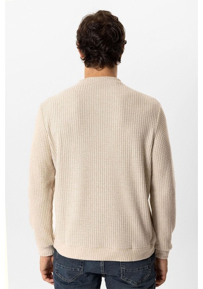 Backandbond Bej Regular Fit Desenli Bisiklet Yaka Sweatshirt