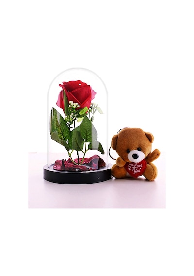 Sevgiliye Eşe Hediye Fanusta Led Işıklı Kırmızı Gül ve Mini Ayıcık Set Sevgiliye Hediye HDH75