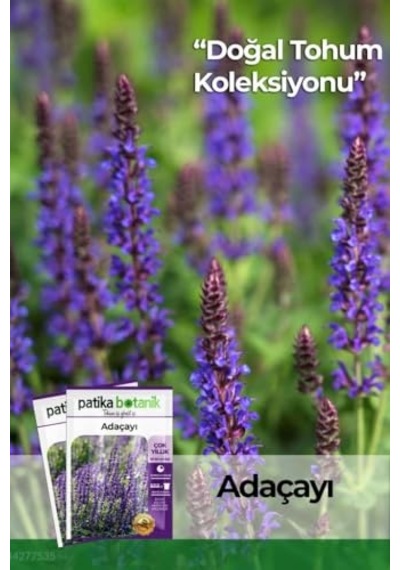 50 Adet Adaçayı Salvia Officinalis Çiçek Tohumu