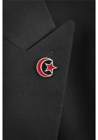925 Ayar Gümüş Ayyıldız Mineli Rozet -8064 Gümüş