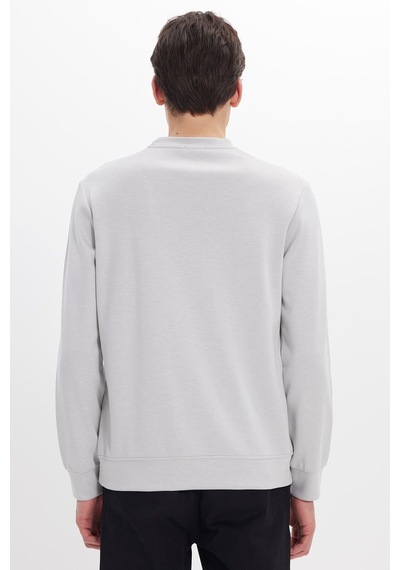 Tudors Erkek Standart Fit Normal Kesim Uzun Kollu Ekstra Soft Modal Kumaş Bisiklet Yaka Taş Sweatshirt-50210