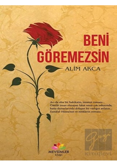 Beni Göremezsin - Alim Akca - Mevsimler Kitap