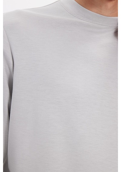 Tudors Erkek Standart Fit Normal Kesim Uzun Kollu Ekstra Soft Modal Kumaş Bisiklet Yaka Taş Sweatshirt-50210