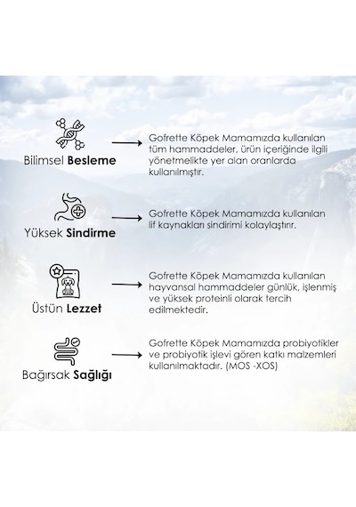 Gofrette Biftekli Yetişkin Köpek Maması 15 KG