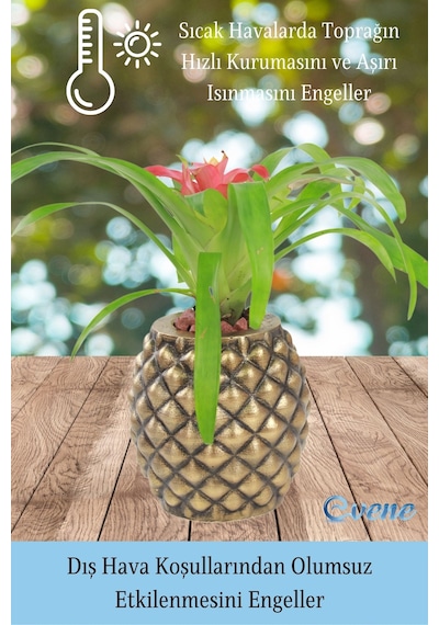 Saksı Çiçek Kaktüs Saksısı Lüx 15 cm Altın Eskitme Varak Boyalı Ananas Desen Saksı Çiçeklik