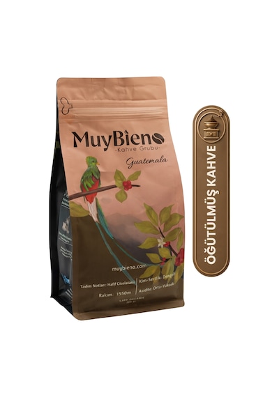 MuyBieno Guatemala Huehuetenango Öğütülmüş Filtre Kahve 250 G