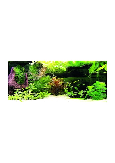 Kanki Pet Kp1556536 Akvaryum Arka Fon Yapıştırma 155 X 65 Cm