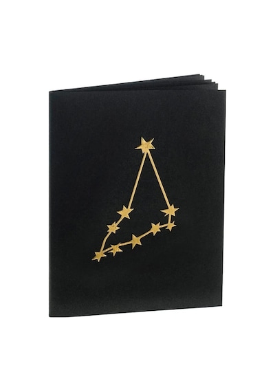 Oğlak Burcu Yıldız Haritası Defter