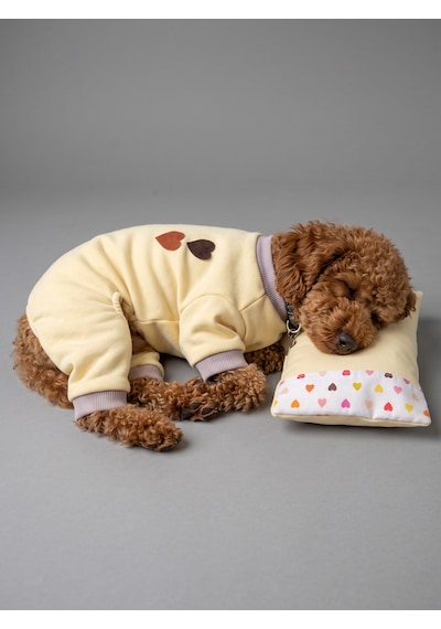 Winter Hearts Köpek Uyku Takımı Pamuklu Penye Köpek Tulumu Ve Mini Yastık Küçük Irklar İçin Tüy Dökülmesini Azaltır