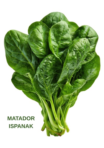 Geniş Yapraklı Matador Ispanak Tohumu 10 Gr. 10 Gr.